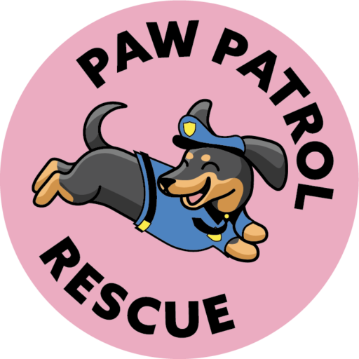 Paw Patrol Rescue